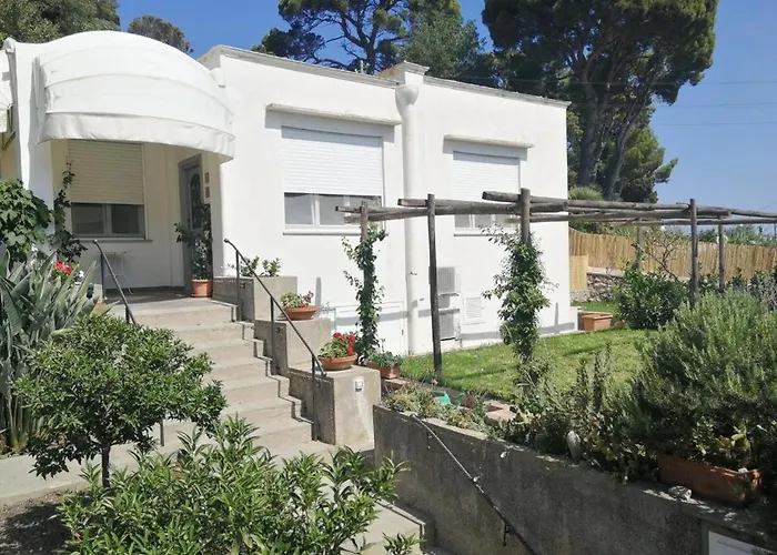 La Mouette Di Nico Capri